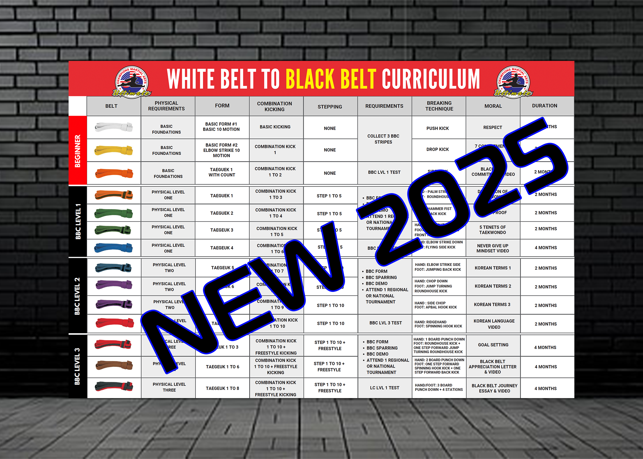 (2025) No Belt to Black Belt Curriculum